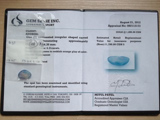 Rachelle Resorts Inc